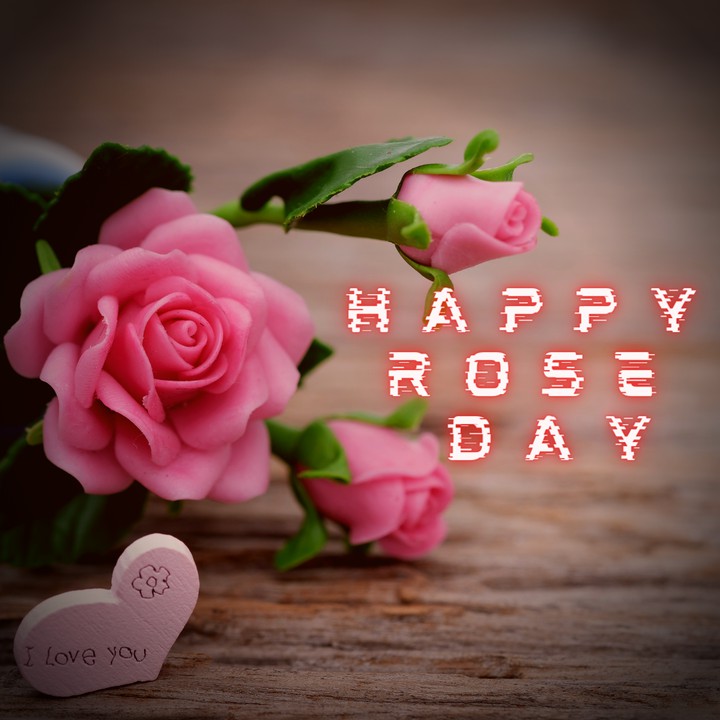 rose day spl