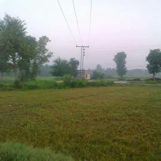 my village