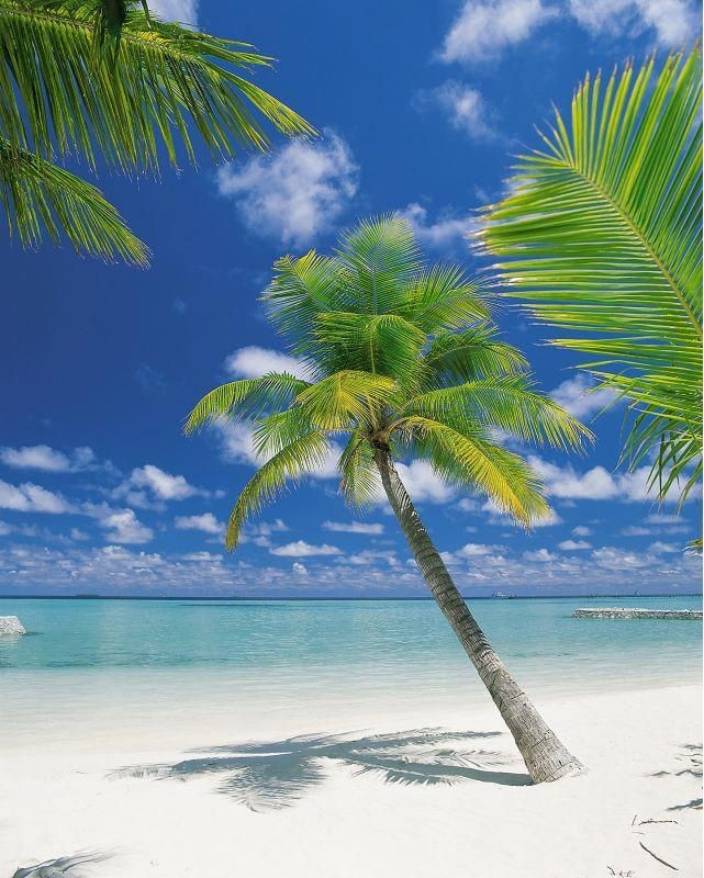 Paradise