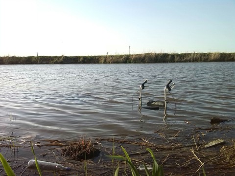 Gehilfe im Wasser
