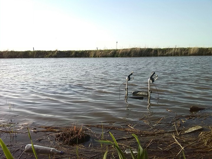 Gehilfe im Wasser