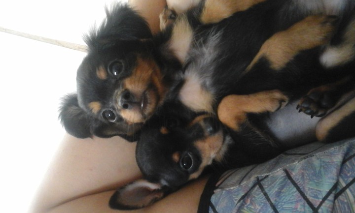 amoooo