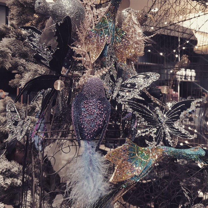 Bird Globus
