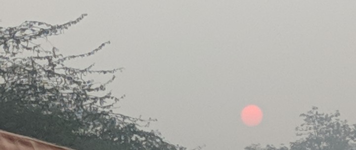 Sun
