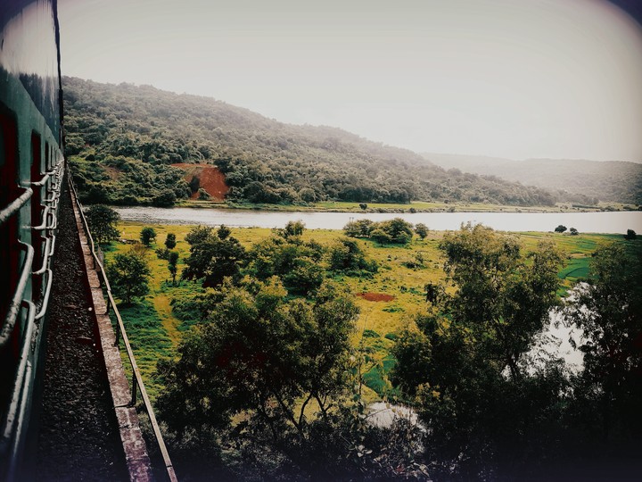 view from train greenery nature beautiful river