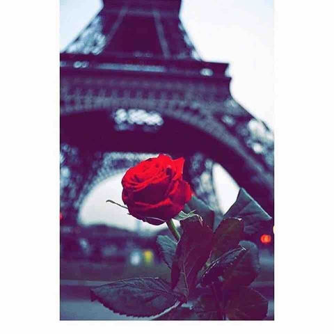 Rose & Eiffel