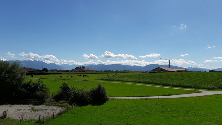 Bavaria in summer