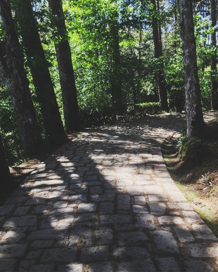 A sidewalk
