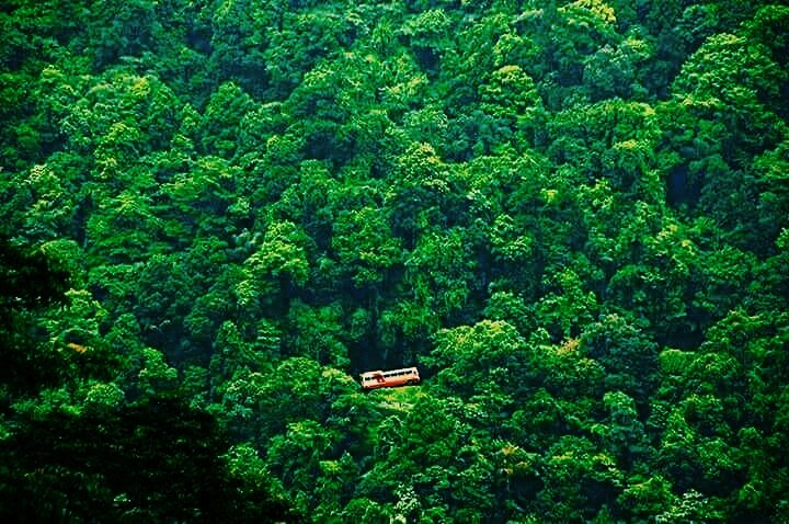 nature
