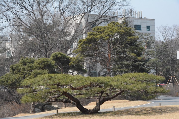 홍릉이미지