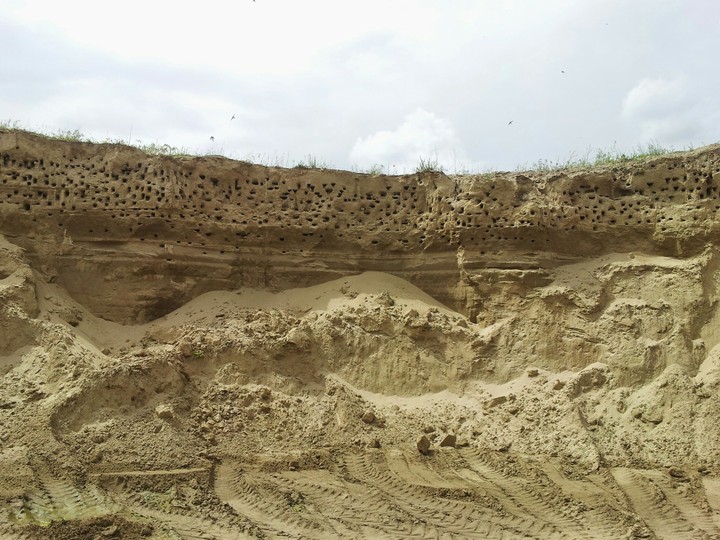 Sand