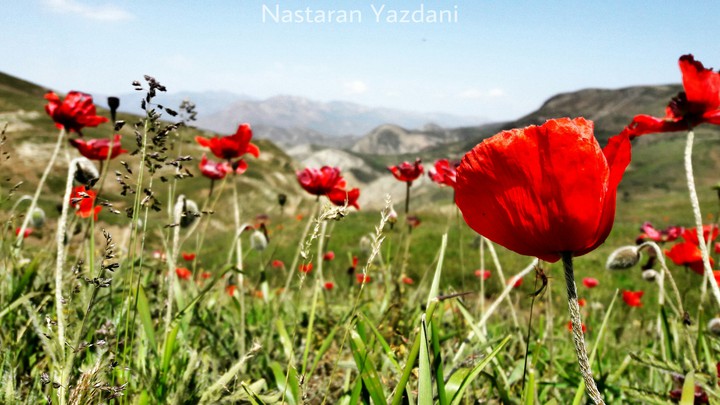 طبیعت بکر و زیبای ماسال♡♧♤