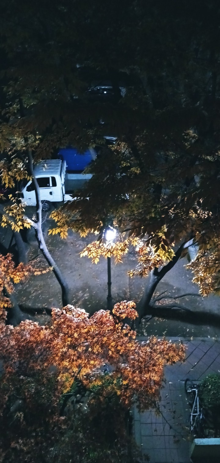 발밑의 가로등