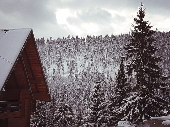 snow