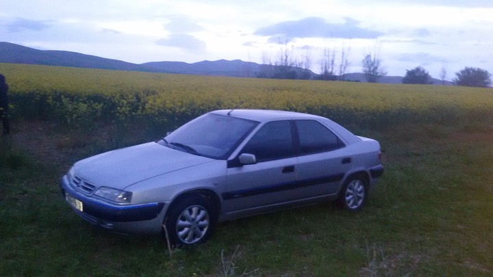 xantia