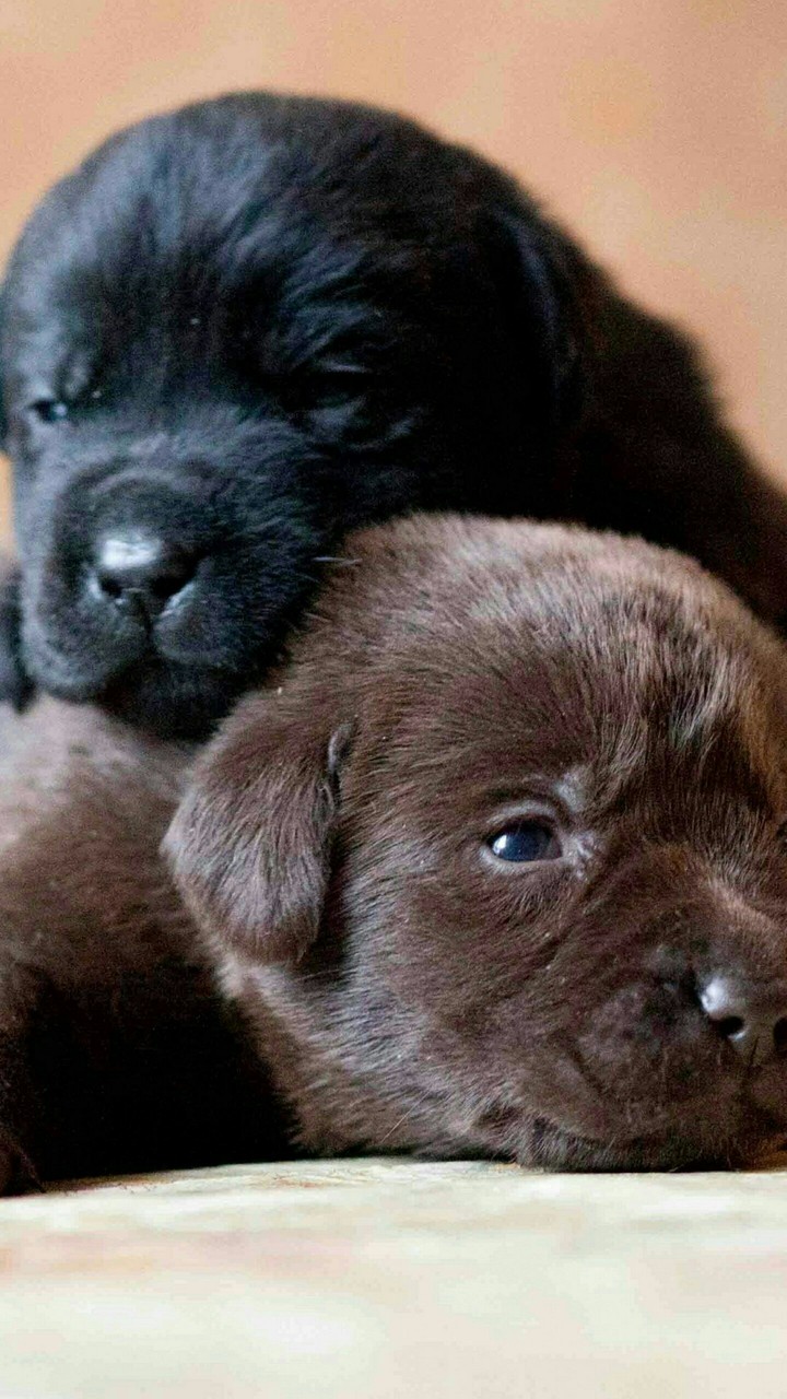 ⭐♥⭐
