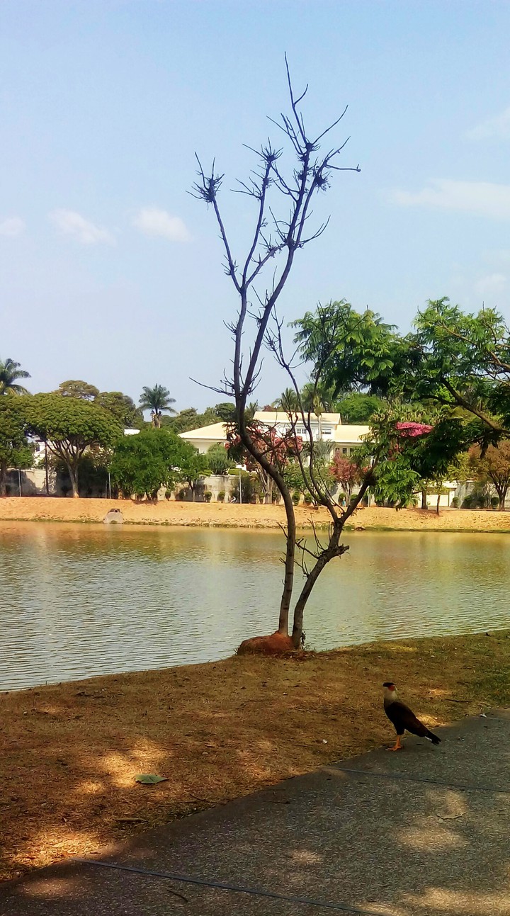 Beautiful Place