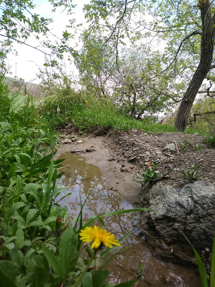 طبیعت گردی