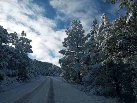 amanecer en la sierra de Madera, Chihuahua México
