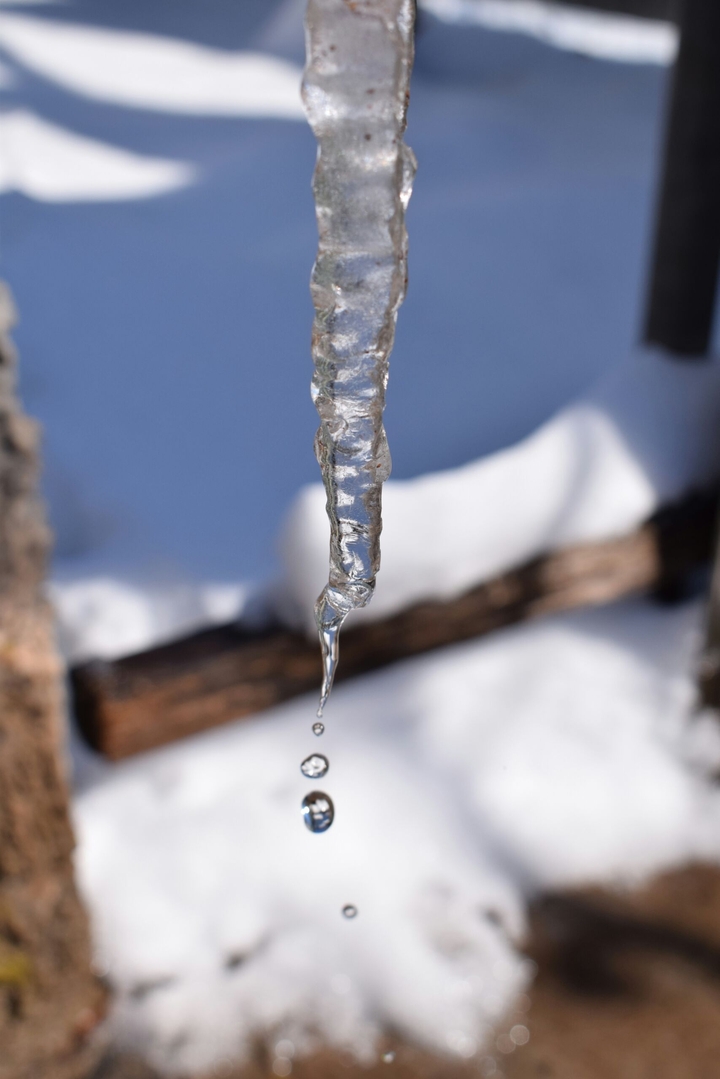Весенняя капель