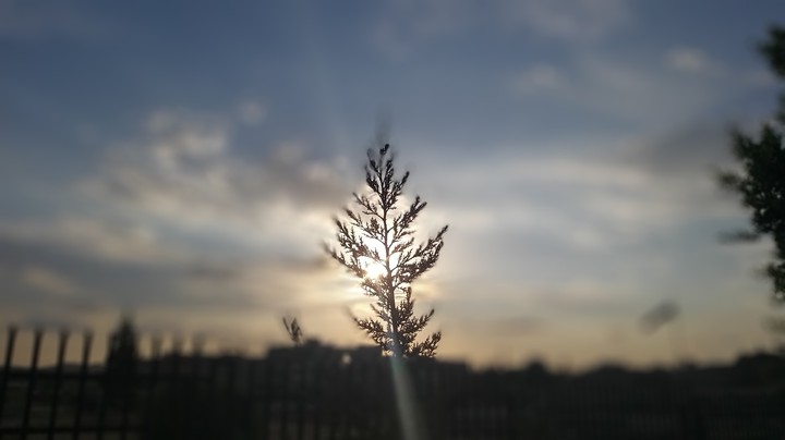 Natural beauty