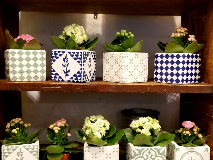 Flower pots