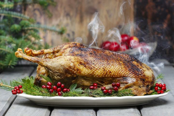 Christmas goose, cranberries, apples