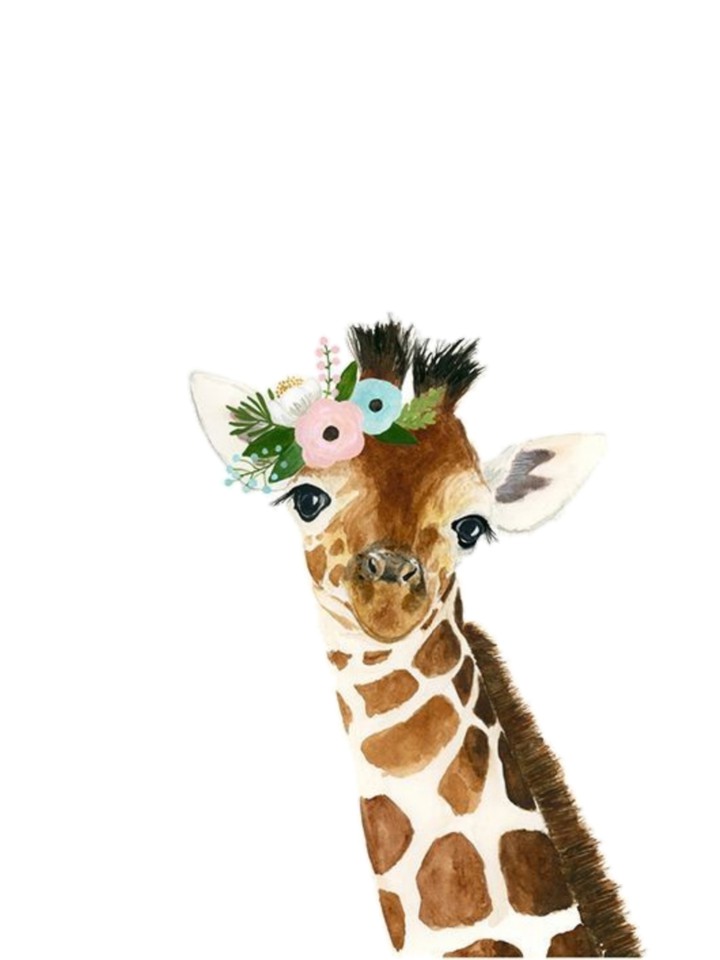 giraffe