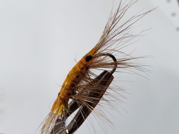Mosca