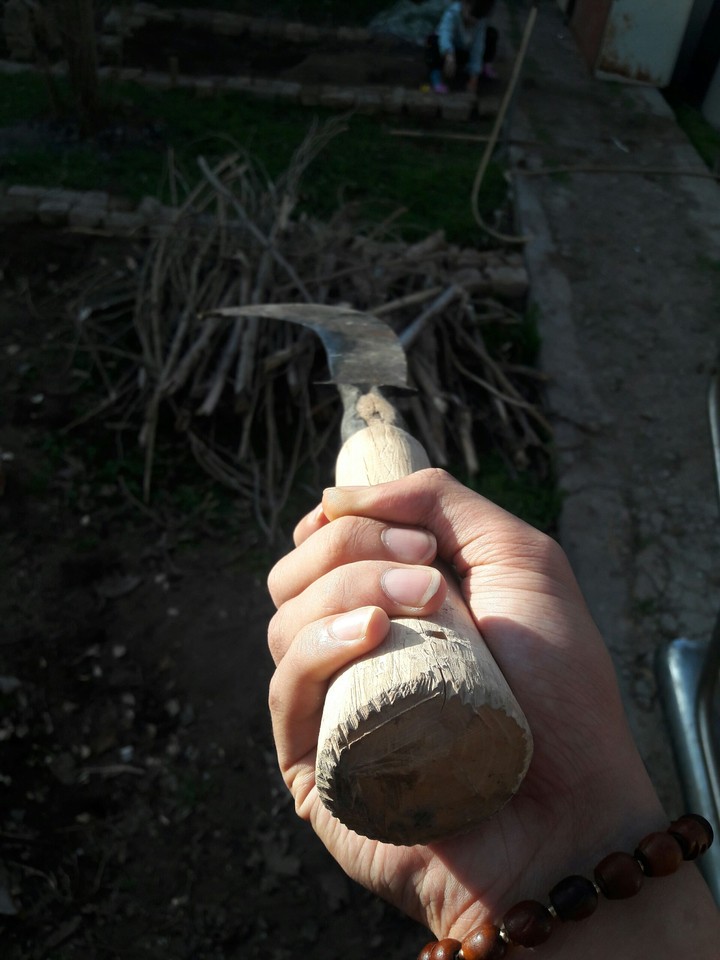 wood