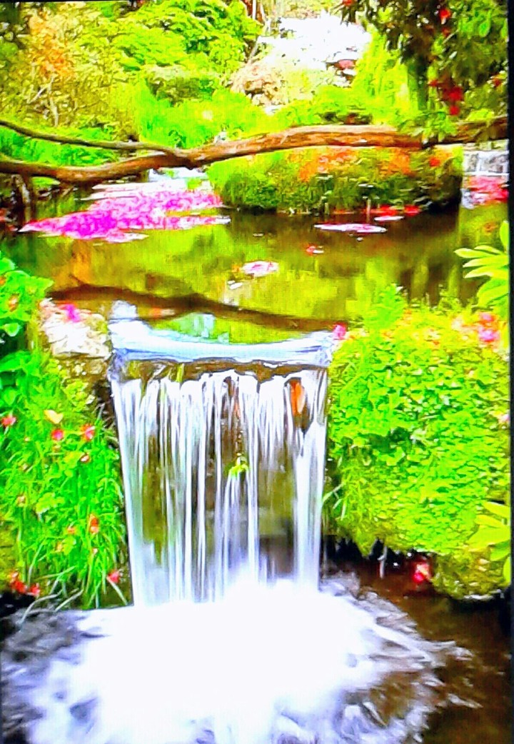 Arroyo natural
