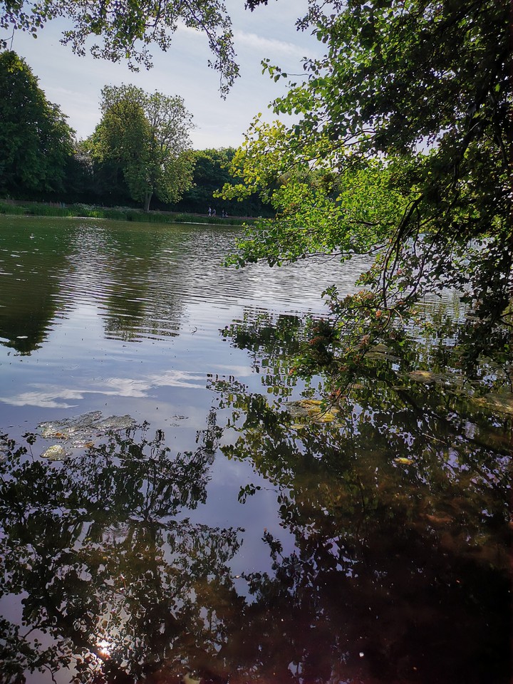 lake