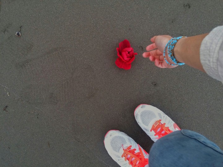 lovely flower