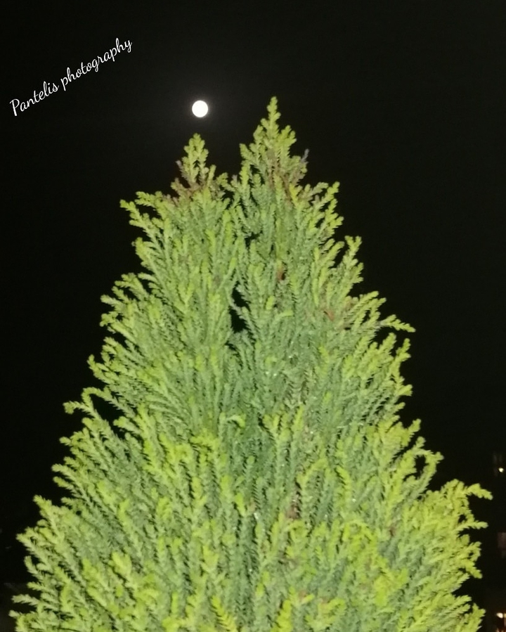 pantelis photography animation
