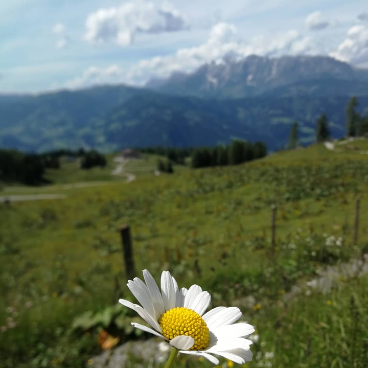 Mountain landscape