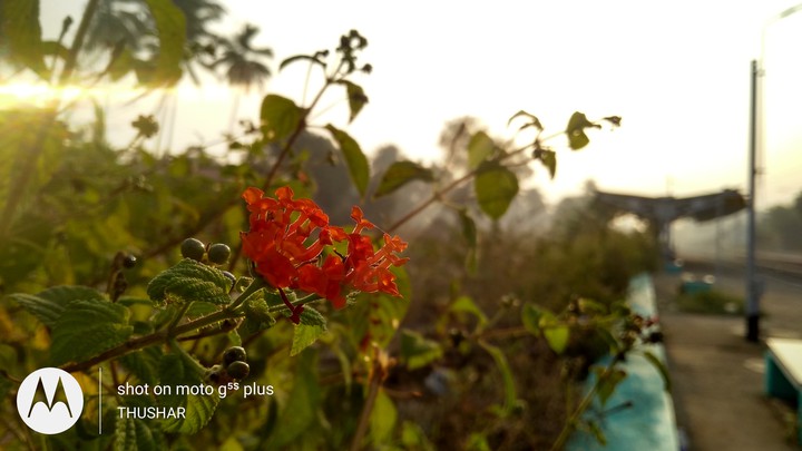 Nature bond