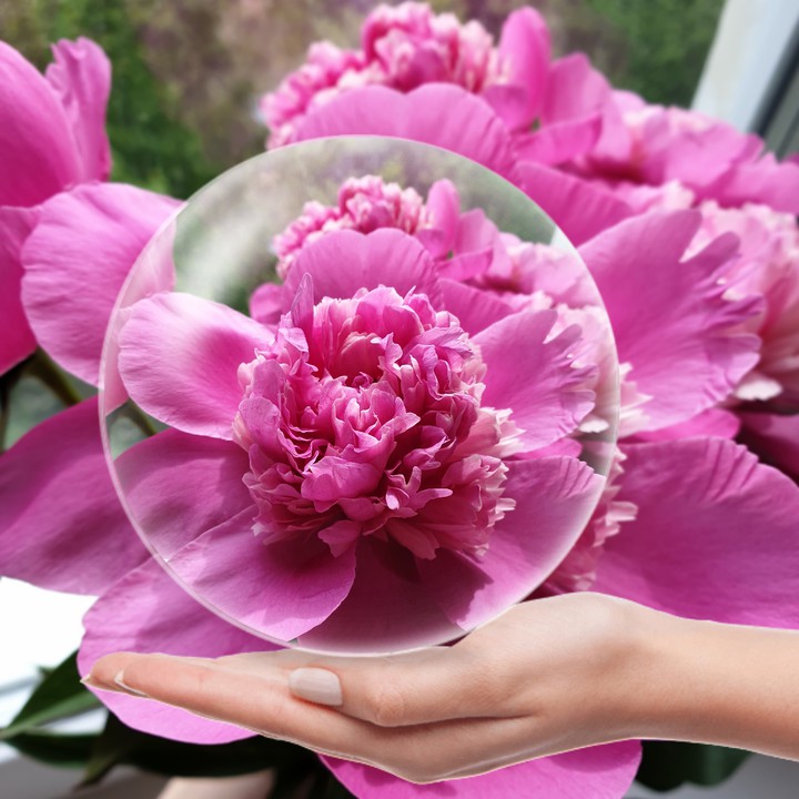 Belle fleur