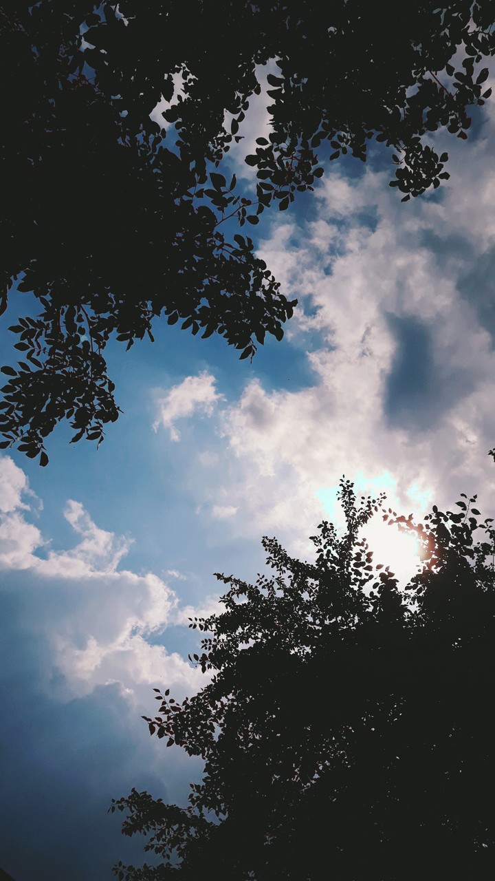 look to sky