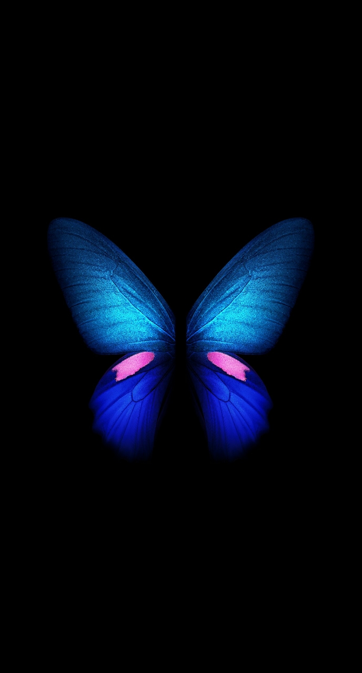 #butterfly