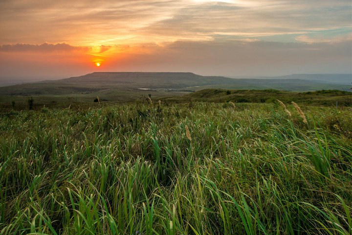 Field
