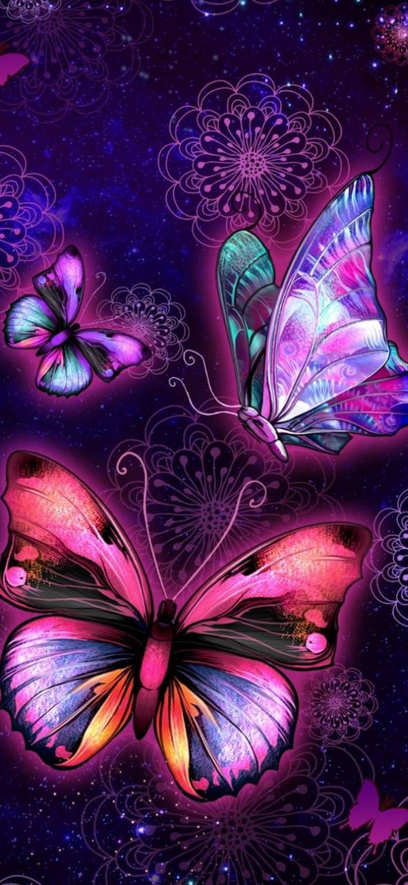 butterfly