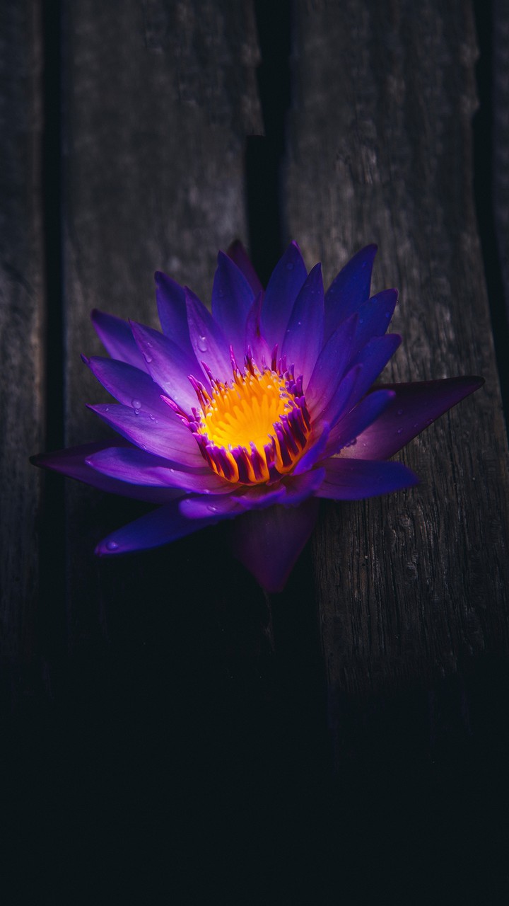 Nature