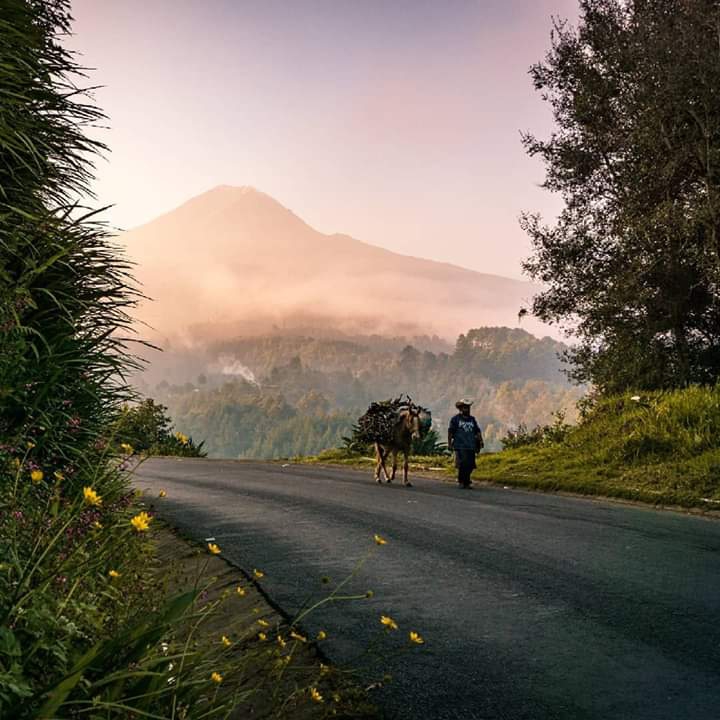 "Pico de Orizaba"