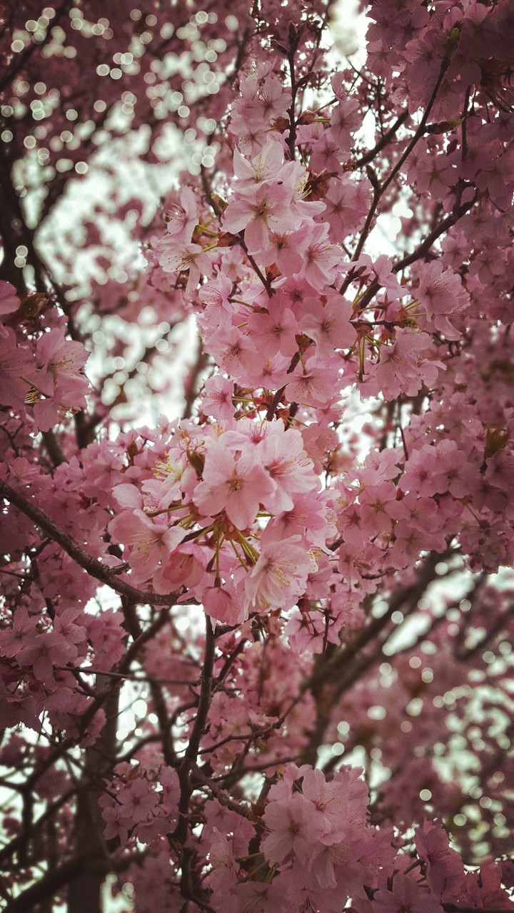 Beautiful spring.