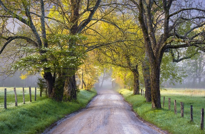daday Kastamonu yolu