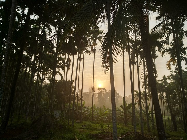 sunrise