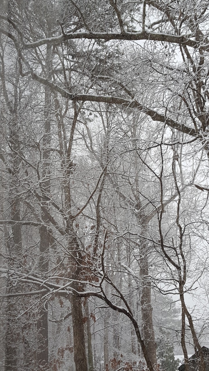 winter