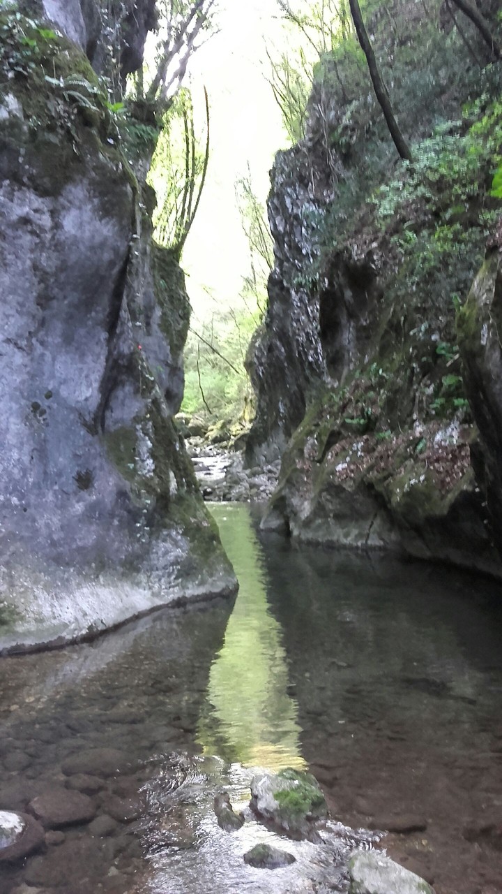 Whats behind those rocks?