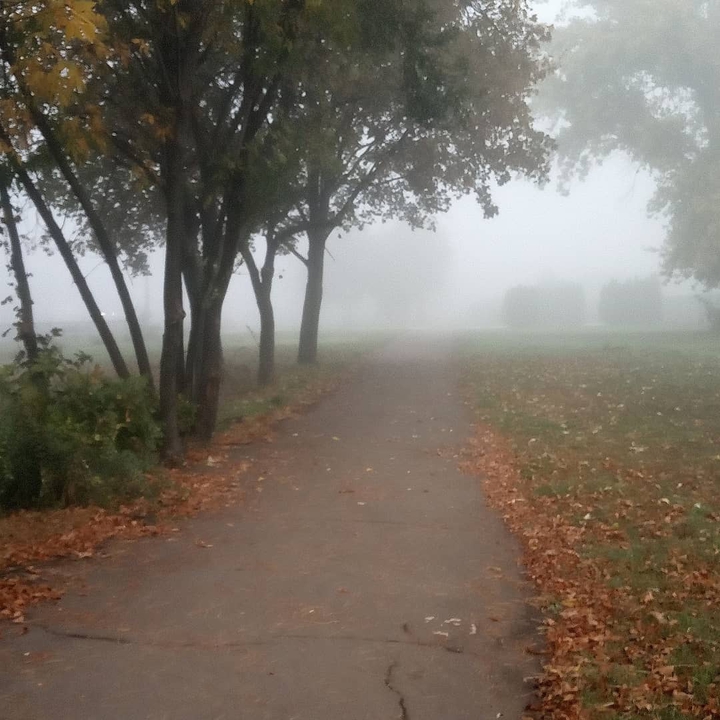 fog