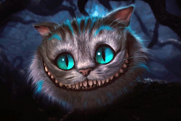cheshire cat